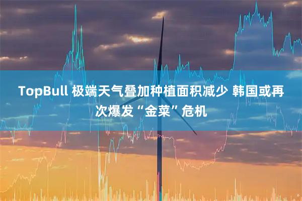 TopBull 极端天气叠加种植面积减少 韩国或再次爆发“金菜”危机