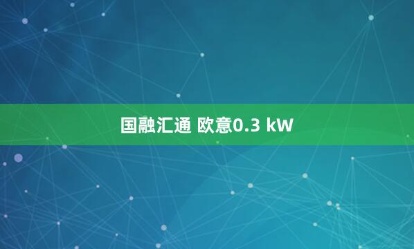 国融汇通 欧意0.3 kW