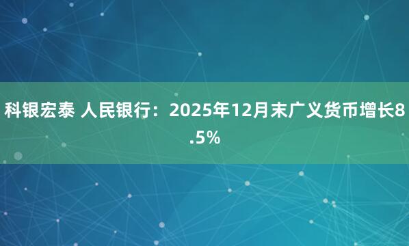 科银宏泰 人民银行：2025年12月末广义货币增长8.5%