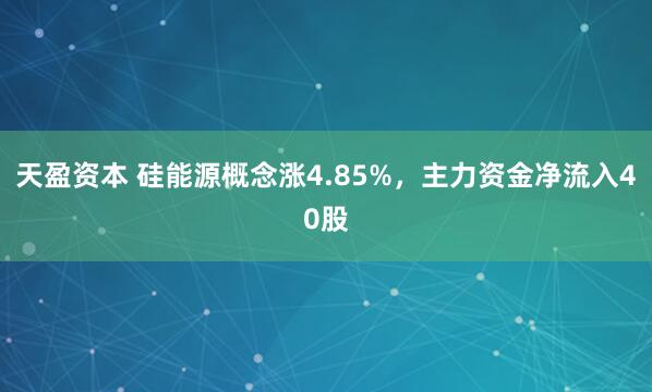 天盈资本 硅能源概念涨4.85%，主力资金净流入40股